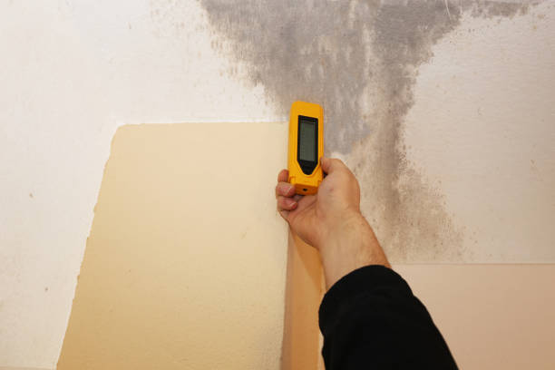 Best Mold Removal for HVAC Installations  in La Grange, NC