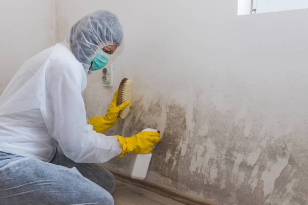 Mold Documentation for Insurance Claims in La Grange, NC