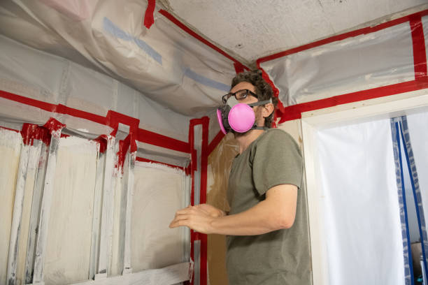 Best Mold Damage Restoration  in La Grange, NC